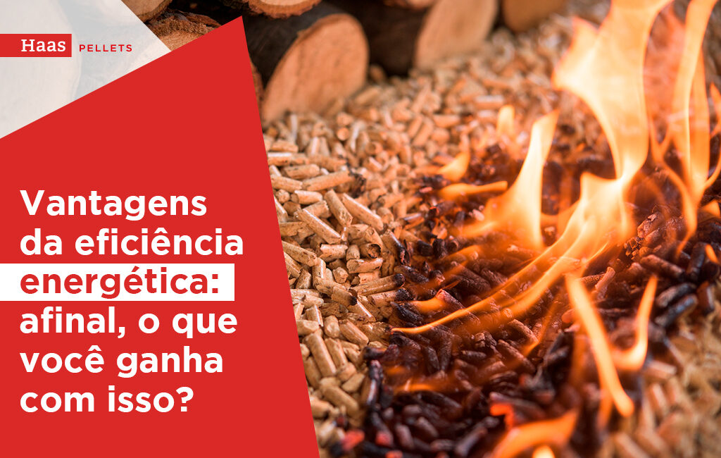 eficiência energética, eficiência energética vantagens