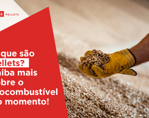pellets, biocombustível