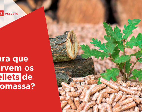 pellets de biomassa, pellets, pellets de madeira.