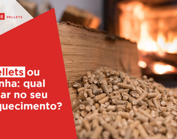pellets ou lenha