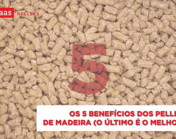 PELLETS_FOTO BLOG_5_benefícios_dos_pellets-pellets de madeira