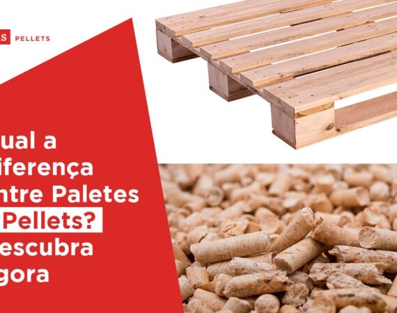 diferença entre paletes e pellets