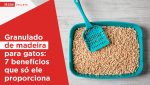 granulado de madeira para gatos 7 beneficios