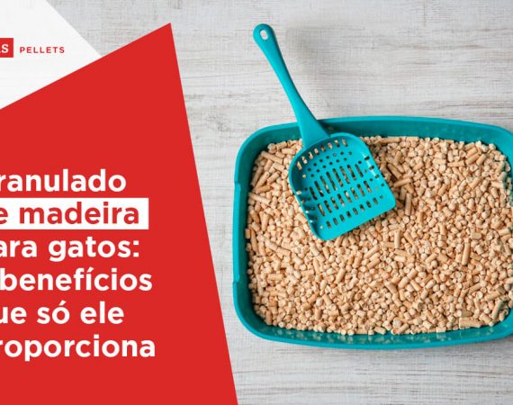 granulado de madeira para gatos 7 beneficios