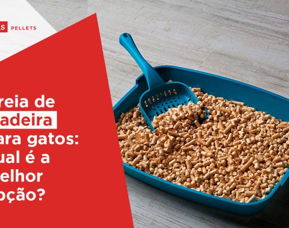haas pellets areia de madeira para gatos qual é a melhor opção