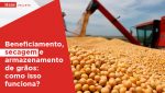 secagem e armazenamento de grãos