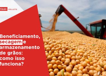 Beneficiamento, secagem e armazenamento de grãos: como isso funciona?
