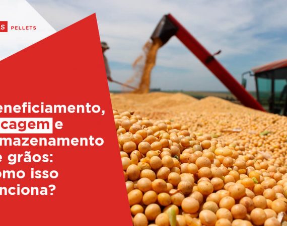secagem e armazenamento de grãos