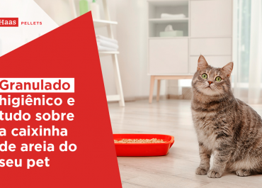 Granulado higiênico e tudo sobre a caixinha de areia do seu pet