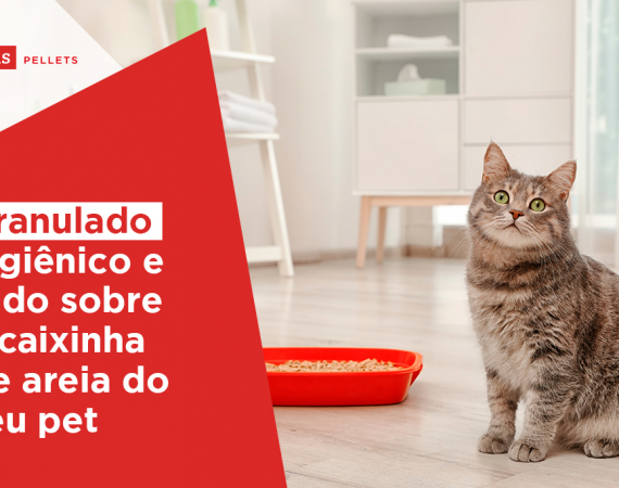 Haas-Pellets-granulado-higienico-e-tudo-sobre-a-caixinha-de-areia-do-seu-pet2