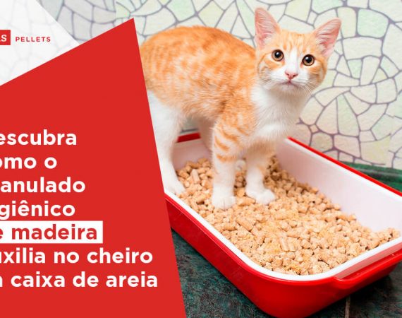 granulado higiênico de madeir
