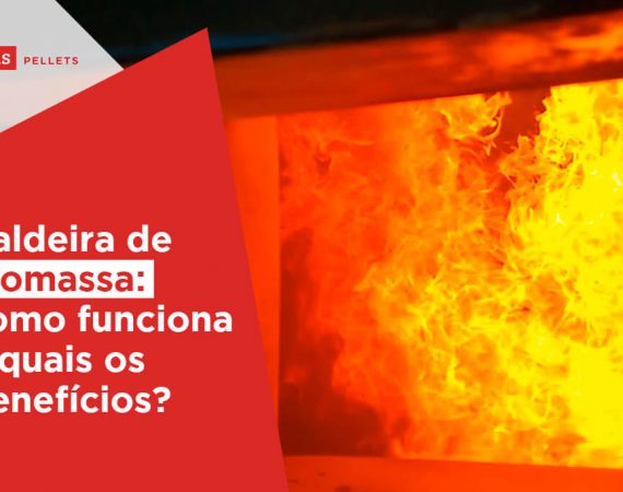 caldeira de biomassa
