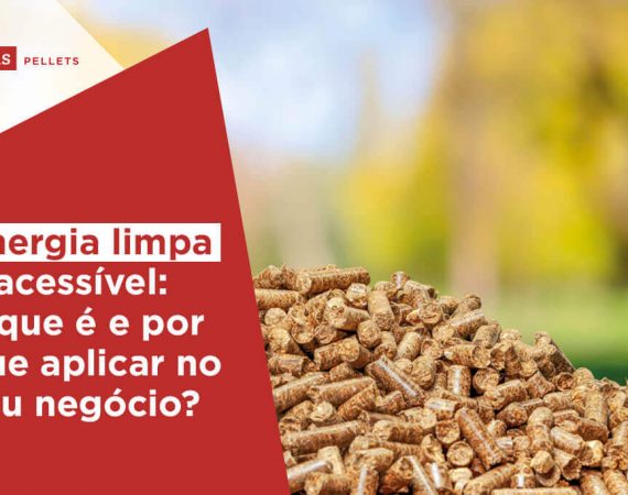 Haas-Pellets-energia-limpa-e-acessivel-o-que-e-e-por-que-aplicar-no-seu-negocio