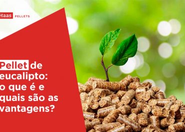 Pellet de eucalipto: o que é e quais são as vantagens?