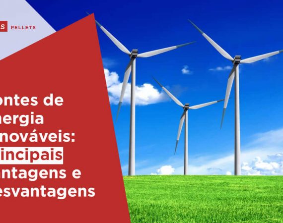 Haas-Pellets-Fontes-de-energia-renováveis