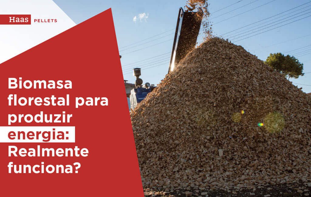 Haas-Pellets-biomassa-florestal-para-produzir-energia-realmente-funciona