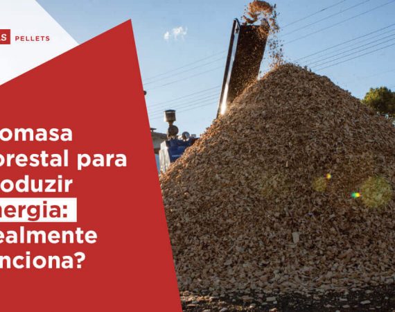 Haas-Pellets-biomassa-florestal-para-produzir-energia-realmente-funciona