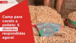 Haas-Pellets-Cama-de-cavalo-a-pellets-5-duvidas-respondidas-agora