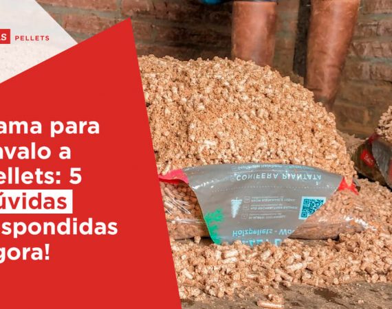 Haas-Pellets-Cama-de-cavalo-a-pellets-5-duvidas-respondidas-agora