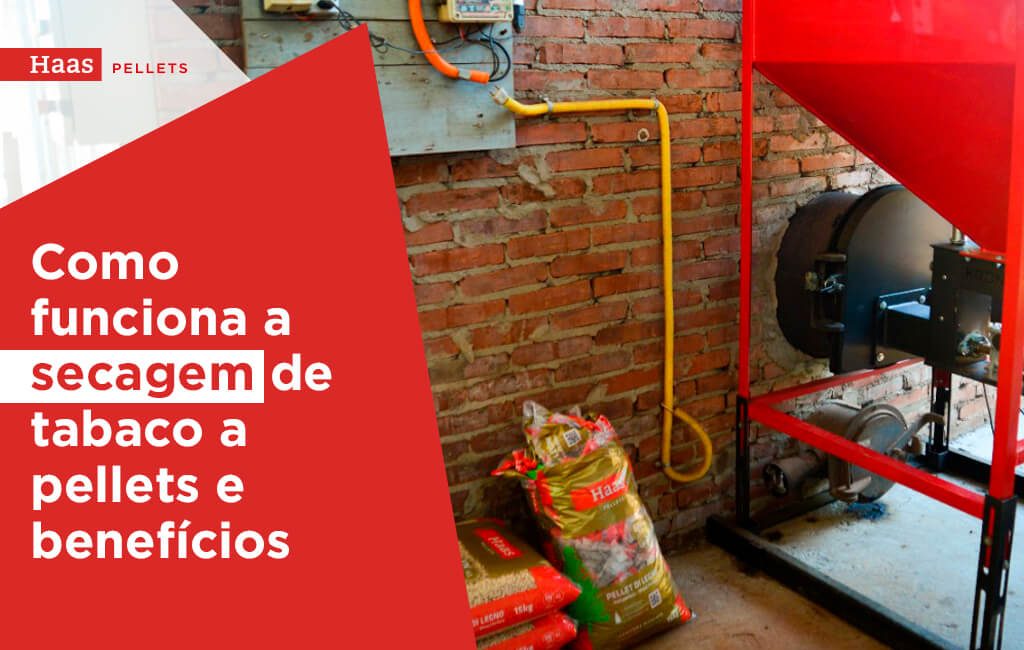 Haas-Pellets-Como-Funciona-a-secagem-de-tabaco-a-pellets-e-beneficios