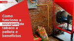Haas-Pellets-Como-Funciona-a-secagem-de-tabaco-a-pellets-e-beneficios