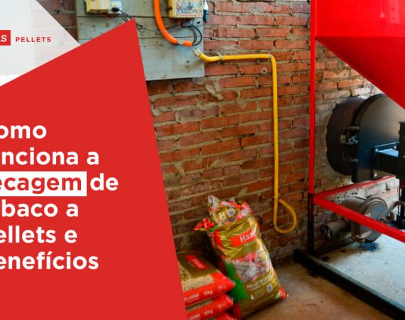 Haas-Pellets-Como-Funciona-a-secagem-de-tabaco-a-pellets-e-beneficios