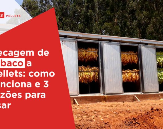 Haas-Pellets-Secage-de-tabaco-a-pellets-3-razoes-para-usar-e-como-funciona