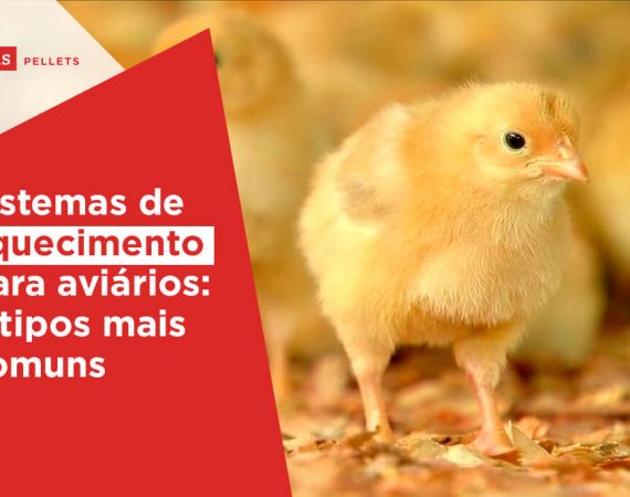 Haas-Pellets-Sistema-de-aquecimento-para-aviarios-5-tipos-mais-comuns