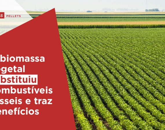Haas-Pellets-biomassa-vegetal-substituiu-combustiveis-fosseis-e-traz-beneficios