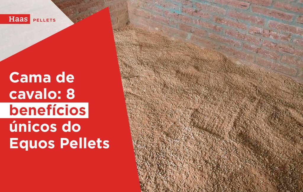 Haas-Pellets-Cama-de-cavalo-8-beneficios-unicos-do-equos-pellets