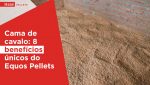 Haas-Pellets-Cama-de-cavalo-8-beneficios-unicos-do-equos-pellets