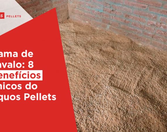 Haas-Pellets-Cama-de-cavalo-8-beneficios-unicos-do-equos-pellets