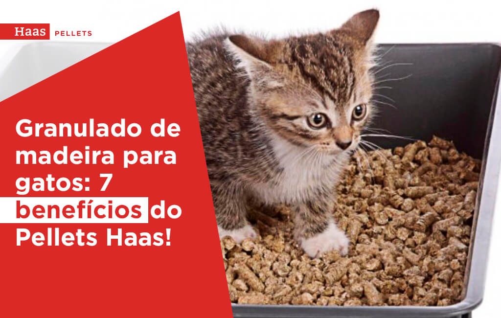 Haas-Pellets-Granulado-de-madeira-para-gatos-7-beneficios-do-pellets-Haas