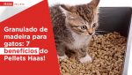 Haas-Pellets-Granulado-de-madeira-para-gatos-7-beneficios-do-pellets-Haas