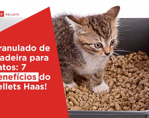 Haas-Pellets-Granulado-de-madeira-para-gatos-7-beneficios-do-pellets-Haas