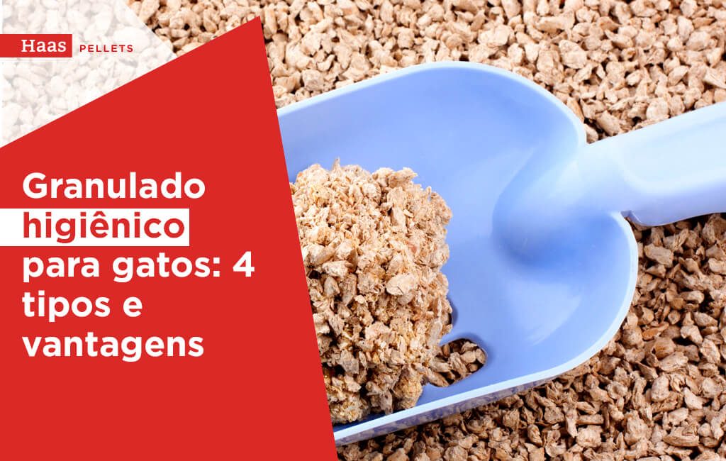 Haas-Pellets-Granulado-higienico-para-gatos-4-tipos-e-vantagens