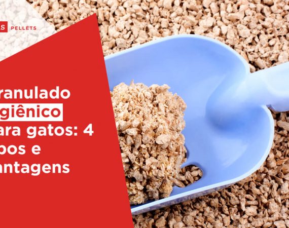 Haas-Pellets-Granulado-higienico-para-gatos-4-tipos-e-vantagens