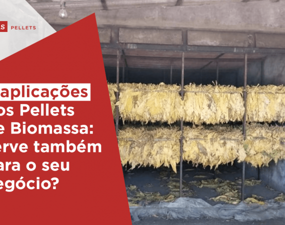 Haas-Pellets-4-aplicacoes-dos-pelets-de-biomassa-serve-tambem-para-o-seu-negocio
