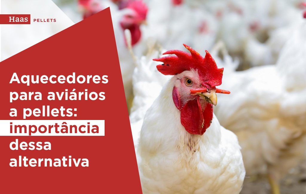 Haas-Pellets-Aquecedores-para-aviarios-importancia-dessa-alternativa