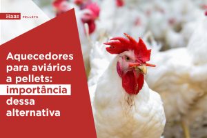 Haas-Pellets-Aquecedores-para-aviarios-importancia-dessa-alternativa