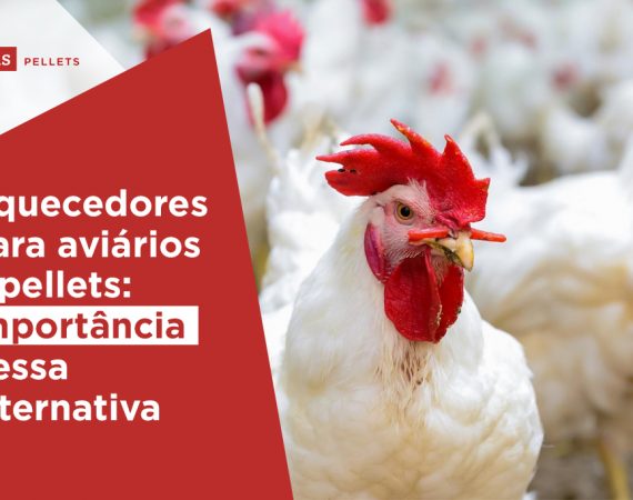 Haas-Pellets-Aquecedores-para-aviarios-importancia-dessa-alternativa