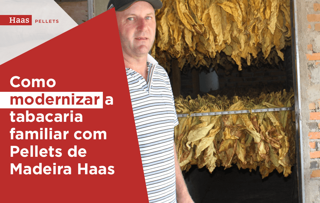 Haas-Pellets-Como-modernizar-a-tabacaria-familiar-com-pellets-de-madeira