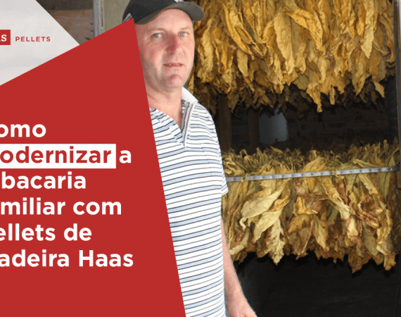 Haas-Pellets-Como-modernizar-a-tabacaria-familiar-com-pellets-de-madeira
