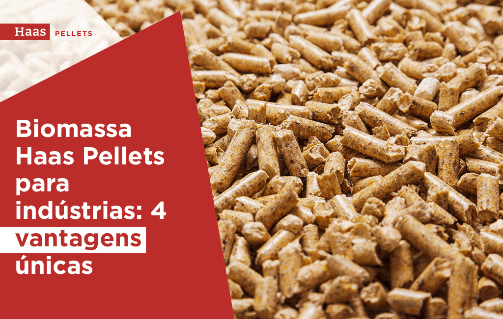 Biomassa Haas Pellets para indústrias: 4 vantagens únicas