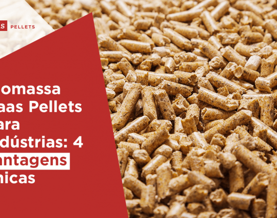 Haas-Pellets-biomassa-haas-pellets-para-industrias-4-vantagens-unicas