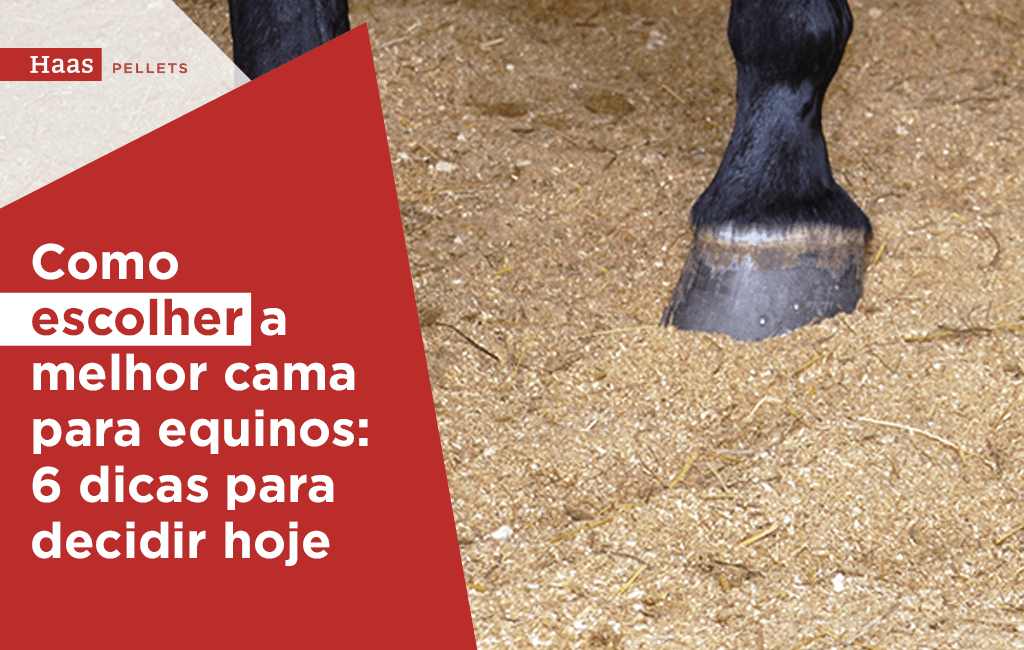 Haas-Pellets-como-escolher-a-melhor-cama-para-equinos-6-dicas-para-decidir-hoje