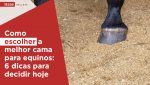 Haas-Pellets-como-escolher-a-melhor-cama-para-equinos-6-dicas-para-decidir-hoje