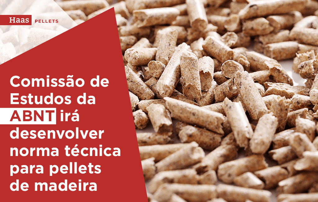 Haas Pellets-Comissão-de-Estudos-da-ABNT-irá-desenvolver-norma-técnica-para-pellets-de-madeira
