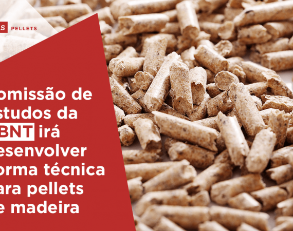 Haas Pellets-Comissão-de-Estudos-da-ABNT-irá-desenvolver-norma-técnica-para-pellets-de-madeira