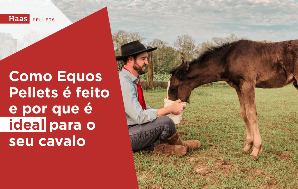Haas-Pellets-como-equos-pellets-e-feito-e-por-que-e-ideal-para-seu-cavalo